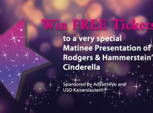The Fairy Godmother Sweepstakes