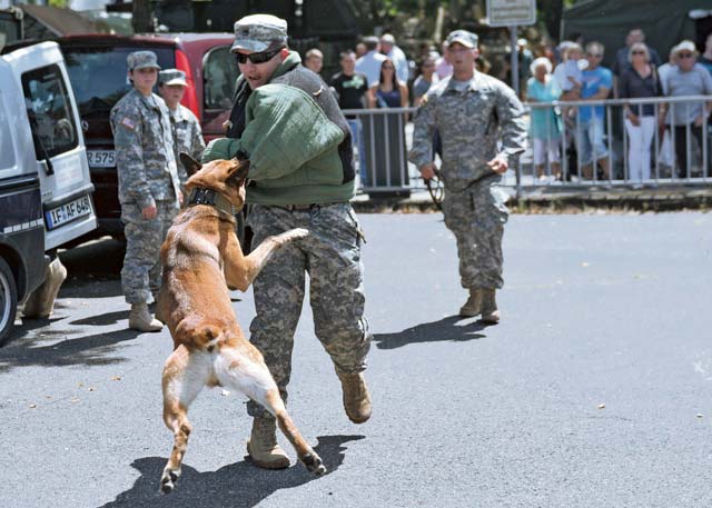 Staff Sgt. Thomas Honeycutt, military working dog handler with the 100th Military Working Dog Detachment, 709th Military Police Battalion, 18th MP Brigade, 21st Theater Sustainment Command, gives a bite demonstration to participants of the 2014 Rheinland-Pfalz Tag July 19 in Neuwied, Germany.