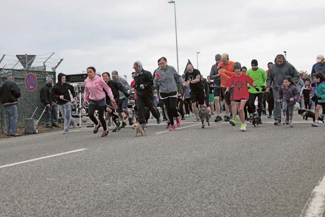 Service members, civilians and family members begin the Doggie Dash 5K. The event also offered several other activities, including a costume contest, a military working dog demonstration and pet vaccinations.