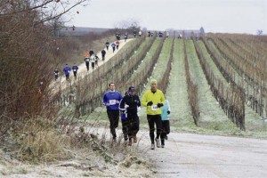 The Freinsheim red wine hike also includes a 10-kilometer folks run starting at 9:30 a.m. Jan. 25 in the Oschelkopf vineyard.