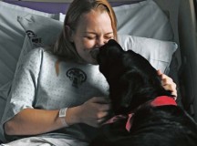 Cpl. Caitlin Thompson, a reservist with the 450th Military Police Squadron, receiving treatment for injuries sustained while deployed to Kuwait, spends time with Tank, a 2-year-old black Labrador retriever, during a Pets and Warriors visit Sept. 18 at Landstuhl Regional Medical Center. The PAW program allows volunteers and their pets to visit wounded warriors and other patients in the hospital to boost their morale.
