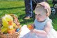 Abbey Mansfield, daughter of Airman 1st Class Holly Mansfield, 86th Airlift Wing Public Affairs photojournalist, watches the other children gather Easter eggs during the Easter Egg Hunt and Kite Karnival April 19 on Ramstein. Children of all ages were able to participate in the hunt in their prospective age groups.