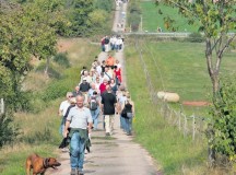Courtesy photosHikers enjoy the 6-kilometer culinary hiking trail near Rodenbach Saturday and Sunday.