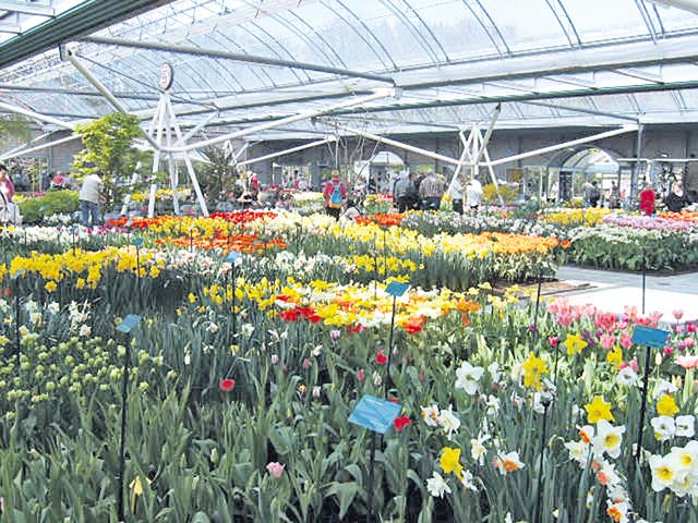 Each pavilion has an indoor exhibit with different types of flowers.