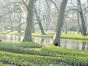 Keukenhof has many serene places to relax and enjoy nature.