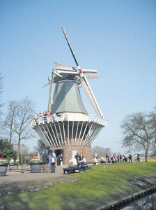 A perfect place to take photos of the bulb fields is the Keukenhof windmill.