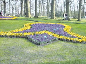 Keukenhof gardeners are experts at planting bulbs in specific designs.