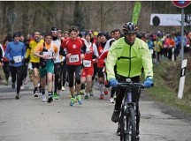 Courtesy photoAbout 440 runners participate in the half marathon in 2013.