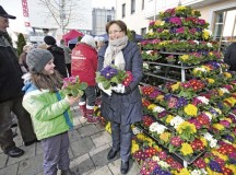 Photo courtesy of the City of KaiserslauternVisitors receive primroses during Kaiserslautern’s spring market Saturday. Stores will be open from 1 to 6 p.m. Sunday.