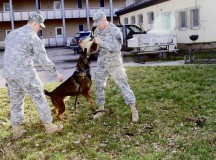 Photo by Staff Sgt. Christina J. TurnipseedPfc. Jacob Yeager (left) and Pfc. Nicholas Milano, 131st Military Working Dog Detachment, conduct a bite demonstration with Leo, a military working dog, Feb. 12 in Ansbach, Germany.