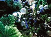 Angel Trees have sprouted up around the KMC, providing holiday cheer and financial support to families in need at Ramstein. Last year, the Angel Tree program helped nearly 250 families and 400 children during the holiday season. Donation drop boxes and tree locations  are at the following public areas on Ramstein: Kaiserslautern Military Community Center, Express Shoppette, Ramstein Enlisted Club, Ramstein Officers’ Club, the commissary, north and southside chapels and the post office, as well as the following locations on Vogelweh: the commissary, chapel and the Express Shoppette.