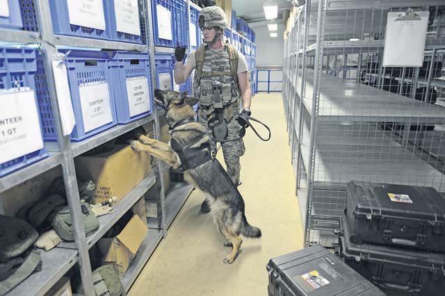 Ramstein, Spangdahlem let the dogs out