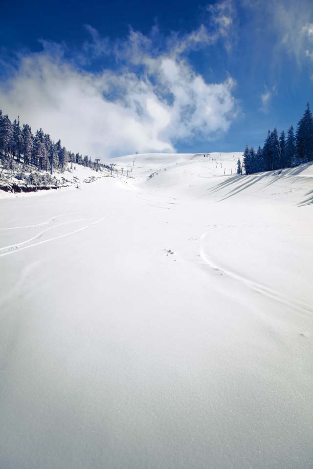 Hit the slopes, learn to ski Kaiserslautern American