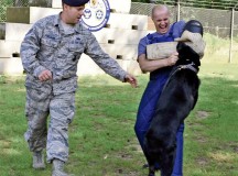 Photo by Airman Dymekre AllenMembers of the 86th Security Forces Squadron K-9 unit train Thursday on Ramstein. During the training, working dogs learned controlled aggression by restraining a fleeing suspect during a simulated 
exercise.
