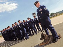 Photo by Staff Sgt. Tyrona Lawson

Tech. Sgt. Kyle Richards, 86th Security Forces Squadron military working dog handler, stands with MWD Omega as the security forces prayer is recited during Police Week May 13, 2011, on Ramstein. A retreat and final mount guard will be held today.