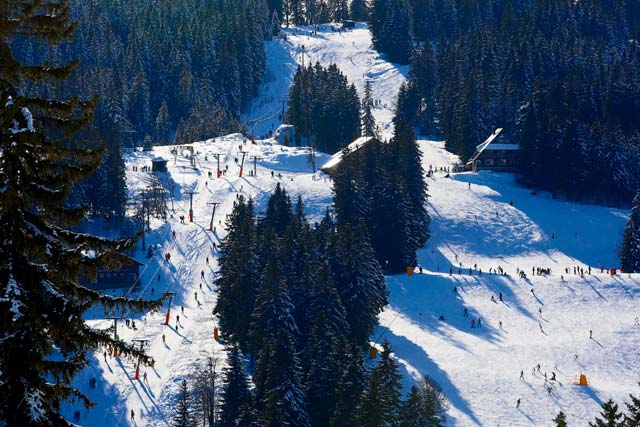 Skiing in the Black Forest