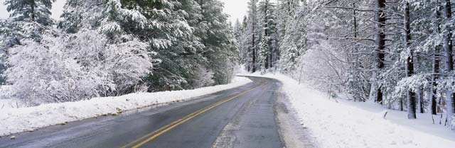 Winter  driving  dread: A case for functional phobia