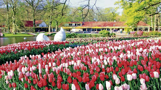 courtesy of Keukenhof Gardens