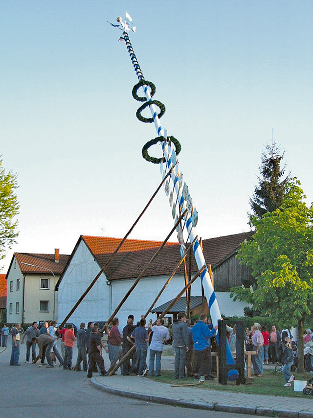 Courtesy photo Many communities put up the traditional May tree to celebrate May fests.