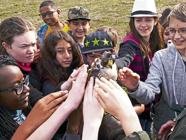 Sixth-grade students from Ramstein Middle School pet a peregrine falcon as a part of a Falconer Show presented for Earth Day, April 16th, 2015, at Ramstein Air Base, Germany. A hood was placed over the falcon’s head so that it would not be frightened by the crowd and attempt to fly off. (U.S. Air Force photo/Airman 1st Class Tryphena Mayhugh)