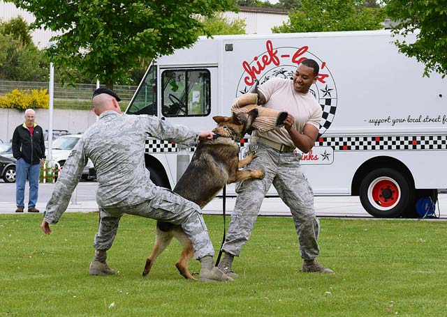 Staff Sgt. Chad Coe, 86th Security Forces Squadron Military Working Dog handler, tries to pry off Charone, 86th SFS MWD, from a “perpetrator” during a MWD demonstration May 9 on Ramstein. The demonstration was part of a display held at the Kaiserslautern Military Community Center in honor of National Police Week.