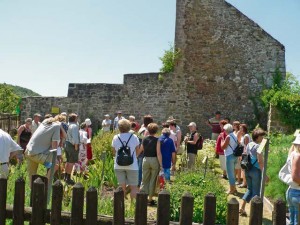 Courtesy photoPeople visiting Lichtenberg Castle can participate in the herbal garden tours on Sunday.
