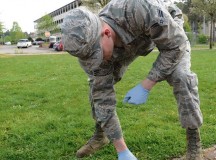 An Airman pulls weeds during Base Pride April 28 on Ramstein. The purpose of Base Pride is to ensure that all the buildings and surrounding areas look clean and professional.