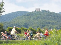 Courtesy photo
Car-free on German Wine Road Aug. 30 
Hikers, bikers and skaters can enjoy the 30th car-free day along the German Wine Road from Bockenheim in the north to Schweigen in the south from 10 a.m. to 6 p.m. Aug. 30. More than 30 communities along the 80 km route offer musical presentations, children’s activities, exhibitions and eating and drinking specialties. For more information, visit www.erlebnistag-deutsche-weinstrasse.