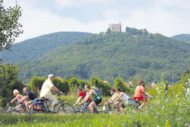 Courtesy photo Car-free on German Wine Road Aug. 30 Hikers, bikers and skaters can enjoy the 30th car-free day along the German Wine Road from Bockenheim in the north to Schweigen in the south from 10 a.m. to 6 p.m. Aug. 30. More than 30 communities along the 80 km route offer musical presentations, children’s activities, exhibitions and eating and drinking specialties. For more information, visit www.erlebnistag-deutsche-weinstrasse.