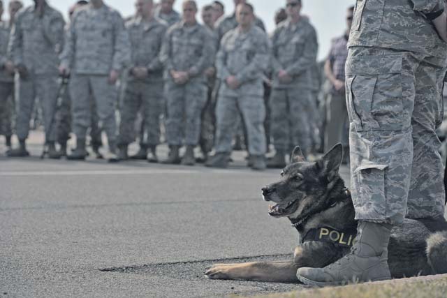 (Bottom left) A Ramstein military working dog rests while Airmen give a moment of silence during the 9/11 retreat ceremony Sept. 11 on Ramstein for all the lives lost. There were nearly 900 rescue dogs that assisted emergency responders during the 9/11 attacks.