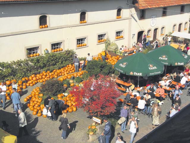 Courtesy photo Visitors at the farm fest can admire, taste and buy a wide variety of pumpkins Sept. 26 and 27.
