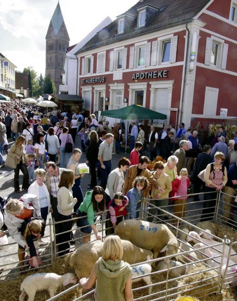 Photos by Stefan Layes The farmers market will present animals Sunday in Ramstein-Miesenbach.