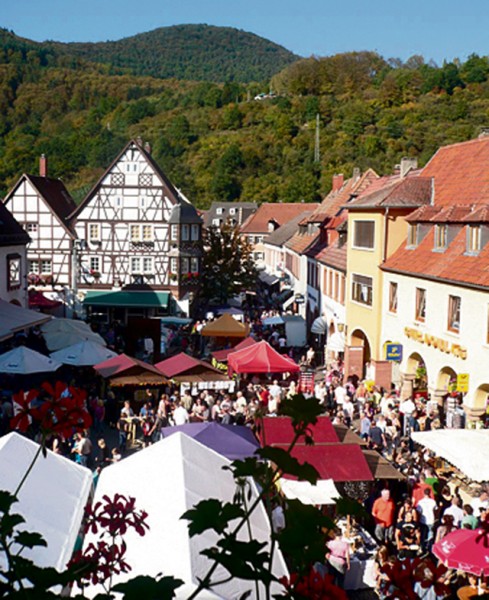 Courtesy photo Chestnut fest Annweiler/Trifels celebrates its chestnut fest 11 a.m. to 6 p.m. Saturday and Sunday. The event highlights products and dishes made of chestnuts such as dumplings, wurst, bread, soup, jelly, liquor and beer. Saturday at 2 p.m., the chestnut princess gets crowned. Stores are open noon to 5 p.m. Sunday. For more information, visit www.trifelsland.de.