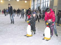 The ice skating rink in Kaiserslautern’s Gartenschau event hall will officially open at 6 p.m. Nov. 20. After the opening show, ice skaters can skate for a reduced price of €2. Through Feb. 14, daily skating hours will be from 9 a.m. to noon; 1 to 3 p.m.; 4 to 6 p.m.; and 7 to 9 p.m. On Friday and Saturday nights, skating hours are extended until 10 p.m. Admission is €2.50 for children and €3.50 for adults. Penguins as training aids for beginners cost €2 per hour. For details, visit www.kl-on-ice.de.