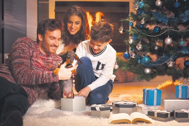 Courtesy photo of StockLite/Shutterstock.com