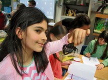 LEMS students study crayfish