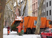 Courtesy photo
Waste collection companies pick up Christmas trees, which residents have to place in front of their homes at the edge of the road. All decorations must be removed to be able to compost the trees.