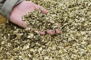 The end product of a joint venture of U.S. Army Ammunition Center Europe, Product Manager — Demilitarization, U.S. Army Europe, and NATO Support and Procurement Agency is small shredded brass nuggets. They look a little like gold, and while not quite as valuable, they are sold as a commodity, much like silver and gold. Under this new program, ammunition residue from ACE is rendered into safe brass and other metals and sold on the European market.