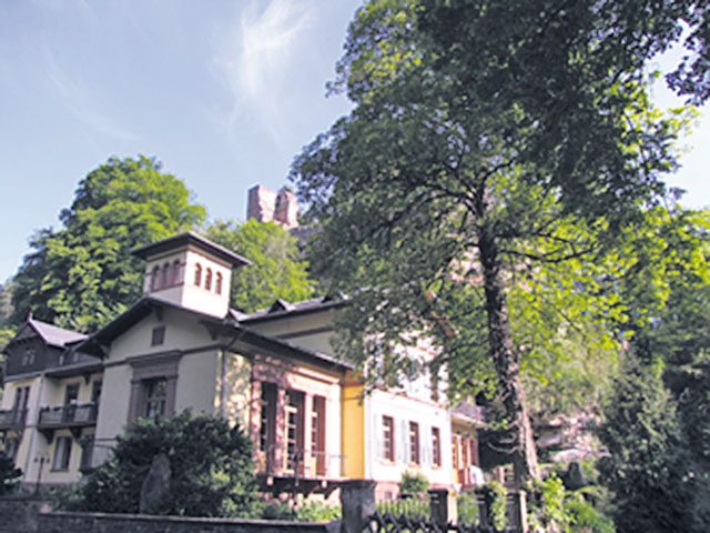 Courtesy photo Uni-Villa hike The Technical University Kaiserslautern starts a forest hike called “Uni-Villa-Wanderung” at 9 a.m. Saturday from the university’s sports field. It ends at Villa Denis in Diemerstein and is 26 kilometers long. Hikers can stop at food stations and test their skills in different games. Hikers can also take a free shuttle bus at 11 a.m. to Waldleiningen and walk from there, which is about half the distance. A park fest near Villa Denis begins at 1 p.m. with food, music and children’s activities. Diemerstein is a part of Frankenstein, located on B39, past Hochspeyer. The address for GPS users starting at the university is Paul-Ehrlich-Strasse 28, Kaiserslautern.