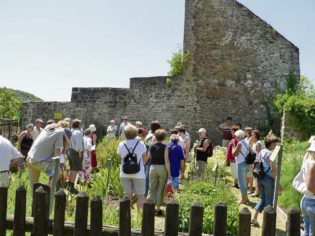 Courtesy photo Visitors of Castle Spring at Lichtenberg castle can partake in a guided tour of the herbal garden to learn all about herbs at 11 a.m. and 3 p.m. Sunday.