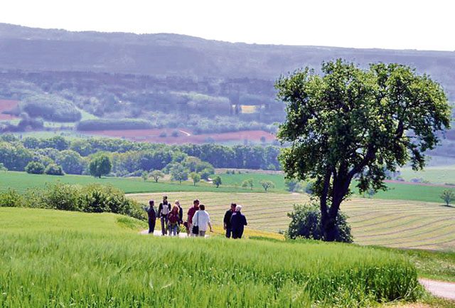 Courtesy photo Culinary panorama hike The vacation region Ohmbachsee-Glantal sponsors a culinary panorama hike between Haschbach and Niedermohr. More than 20 stations offer food specialties such as apple pancakes in Haschbach, flammkuchen in Theisbergstegen, curry wurst in Gimsbach, fish with potato salad in Matzenbach, vegetarian farmers’ pot in Fockenberg-Limbach, schnitzel sandwich in Reuschbach, trout and salmon in Rehweiler, and game frikadellen in Glan-Muenchweiler. The full scenic hiking trail is 12 kilometers long. Families with strollers can walk along the Glan-Blies biking trail. For details, visit www.kulinarische-panoramawanderung.de.