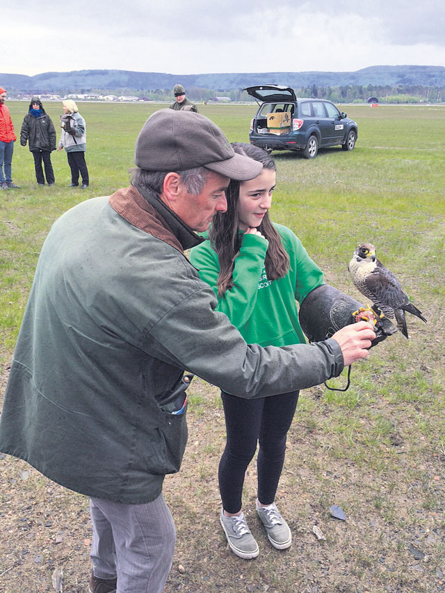 Alyssa Maxon, Ramstein Middle School sixth-grade student, is shown how to hold a hawk by Gerhard Wagner, 86th Operations Support Squadron falconer, during a field trip with Johnette Scott’s science class May 3 at an airfield on Ramstein. In conjunction with the class’ unit focussing on the environment, the students learned how falcons and hawks protect aircraft and their crews. Wagner’s birds are one facet to keeping the airfield safe from unwanted birds and animals that could potentially damage an aircraft. 