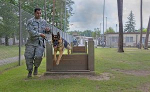 Staff Sgt. Bernardo Cortes, 86th Security Forces Squadron military working dog trainer, leads Rogo, 86 SFS MWD in training, over a barrier July 12 on Ramstein. 