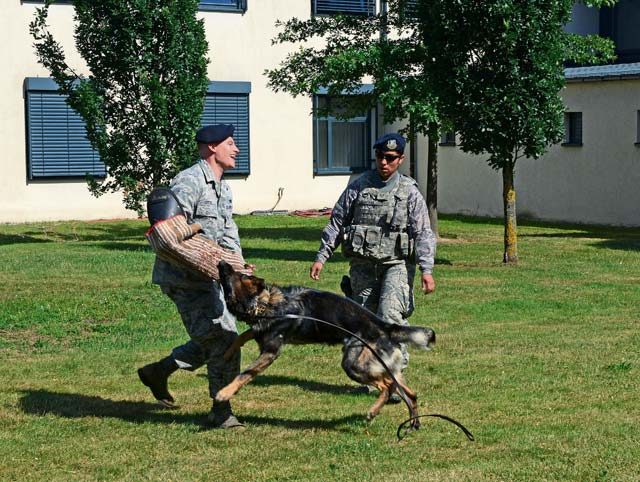 Staff Sgt. Ricky Leitzel, 86th Security Forces military working dog trainer (left), and Staff Sgt. Jessica Santana, 86 SFS MWD handler, conduct a K-9 demonstration Aug. 5 on Ramstein. The demonstration was part of a block party hosted by the Ramstein Enlisted Club.