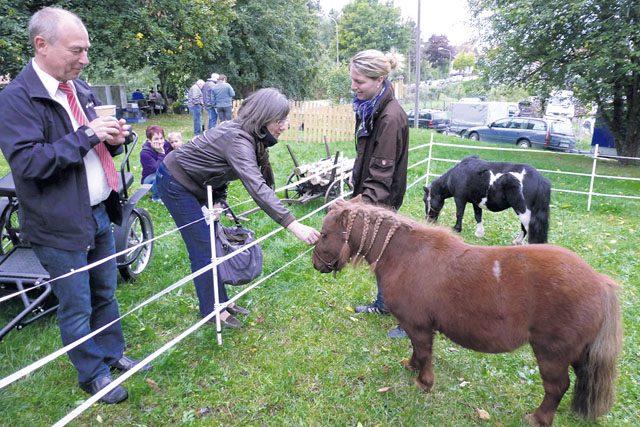Visitors can admire mini ponies at the North Palatinate Farmers Market Sunday in Schneckenhausen.