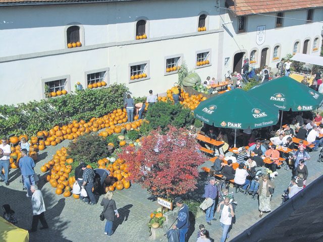Farm fest highlights pumpkins, arts, crafts
