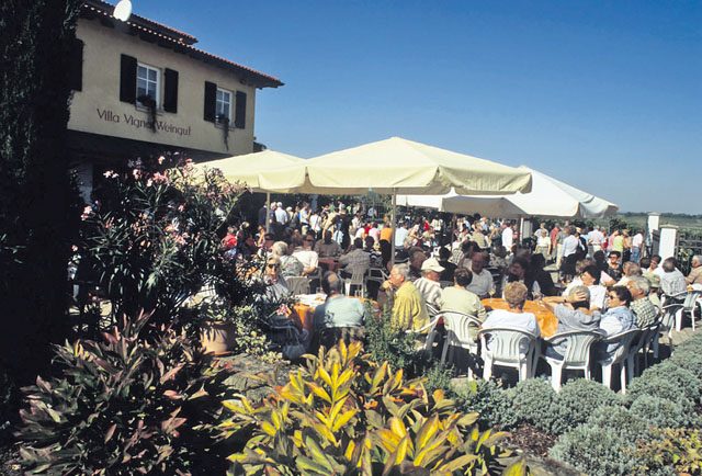 Courtesy photos Numerous hikers enjoy eating and drinking breaks during the culinary wine hike taking place today through Sunday in Freinsheim.