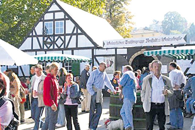 Courtesy photo Wine village opens The annual wine harvest fest in Neustadt on the German Wine Street starts today with the opening of the wine village consisting of little framework houses across from the train station. Visitors can taste new wine and Palatinate food specialties, including onion cake, liver dumplings and saumagen. The wine harvest fest with rides and vendors takes place Sept. 30 to Oct. 10. The big vintners parade is scheduled for 2 p.m. Oct. 8. For more information, visit www.neustadt.eu.