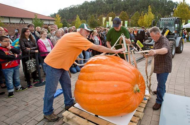 Courtesy photo Pumpkin weighing championship Just like in 2015, the Gartenschau Kaiserslautern offers its annual Rhineland-Palatinate Pumpkin Weighing Championship at 1 p.m. Sunday near the entrance. Pumpkin breeders show off and weigh their pumpkins. Prizes are awarded to the heaviest and nicest-looking pumpkins. The pumpkin display, under the motto “Royal,” continues through the end of the season, Oct. 31. The Gartenschau, also known as dino park, is open 9 a.m. to 7 p.m. daily. For more information, visit www.gartenschau-kl.de.