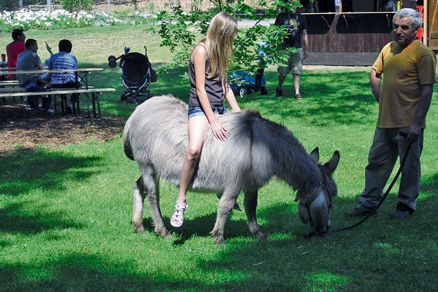 Courtesy photos Children are able to get close to animals during “Zoo Day” Sunday at the Siegelbach Zoo.